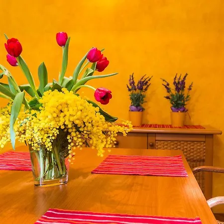 Daire Lavender Apt. W. Balcony In Old Town Zadar