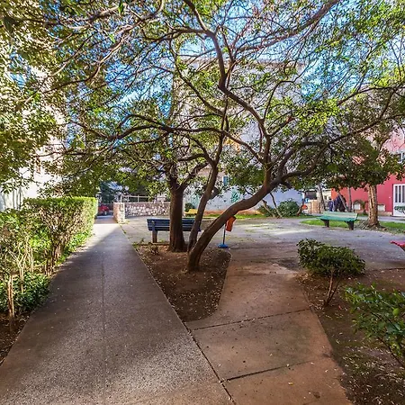 Daire Lavender Apt. W. Balcony In Old Town Zadar
